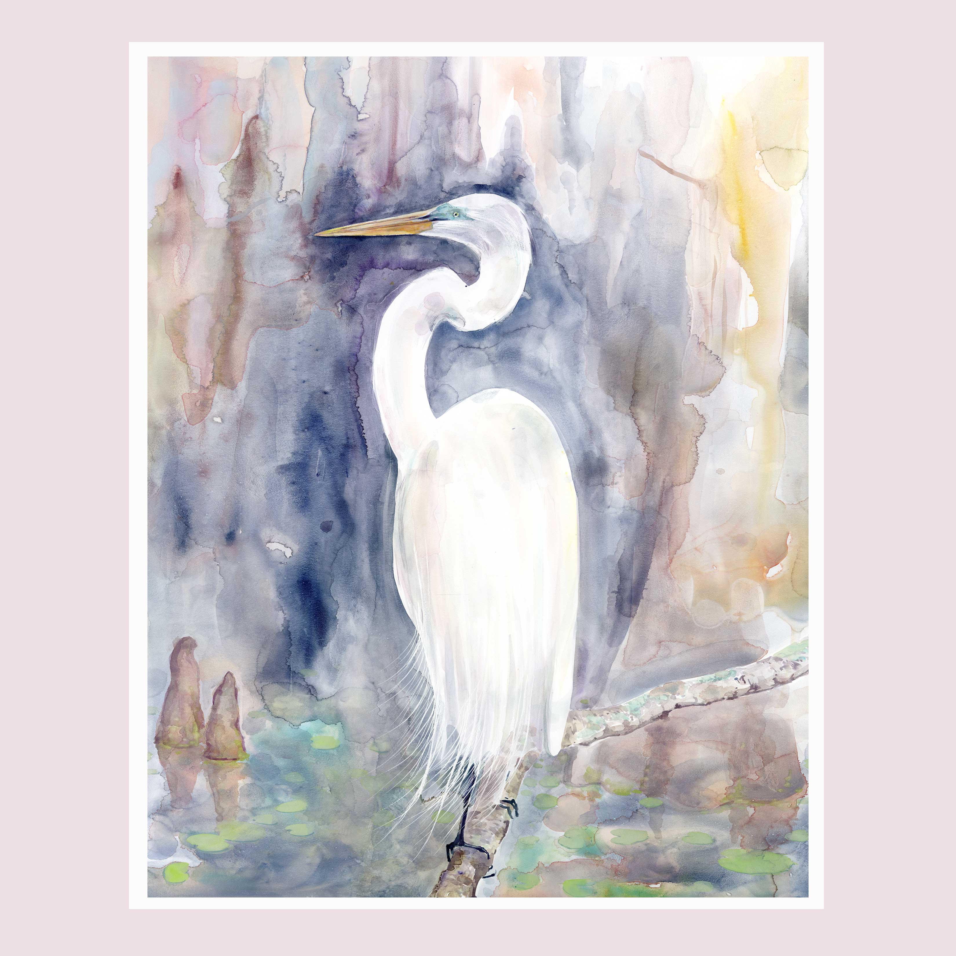 Amethyst Egret